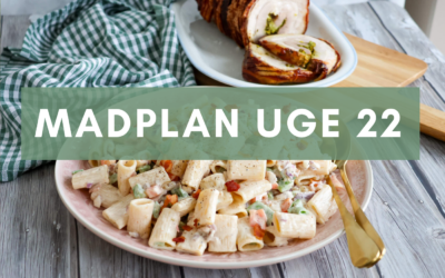 Madplan uge 22