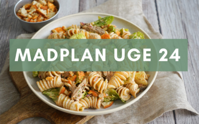 Madplan uge 24